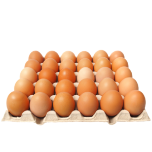 CUBETA DE HUEVOS CAMPESINOS AA