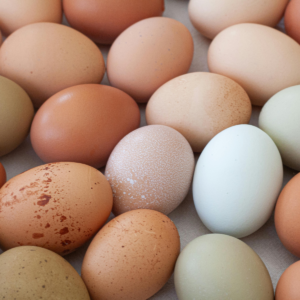 CUBETA DE HUEVOS CRIOLLOS DE COLORES